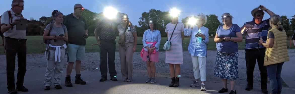 Guided Walk: Bats and Evening Sounds
