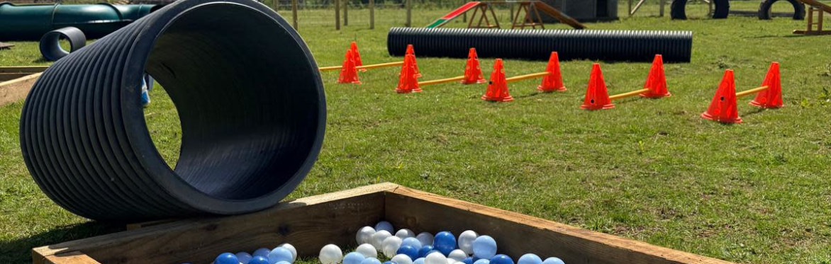 The Dog Barn Play Field