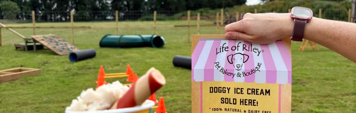 The Dog Barn Play Field