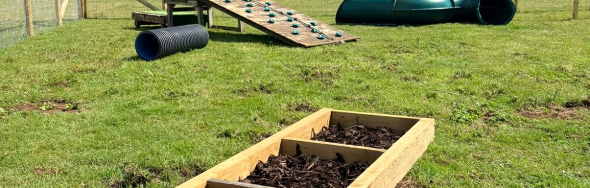 30 Minute Play Field Session