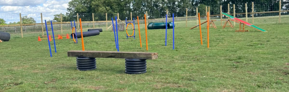 30 Minute Play Field Session