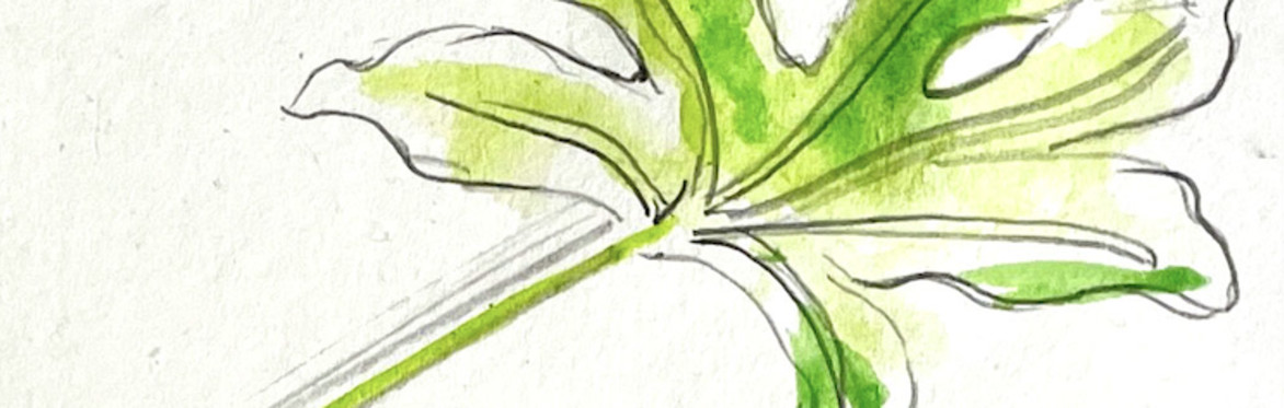 Workshop: Drawing nature with Matt Ponting of Doodling Around