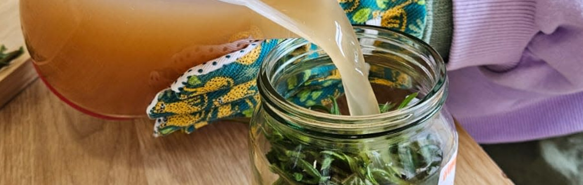 Junior Herbalist Club Autumn Taster Session