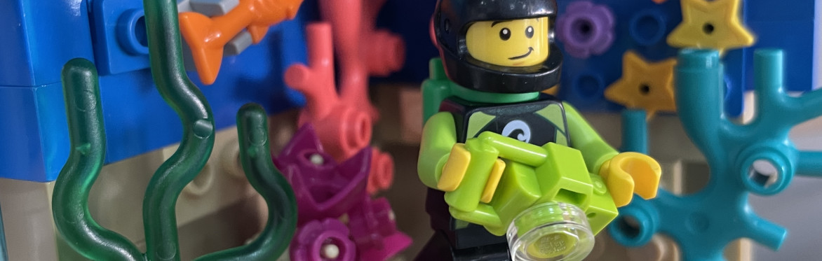 Build a LEGO® Habitat