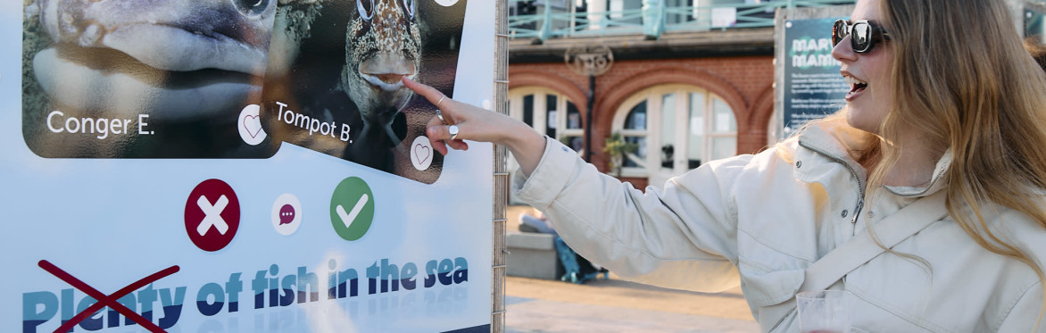 Photos of marine life in Sussex at an outdoor exhibition
