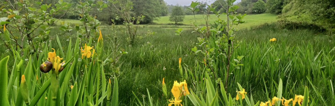 Farmland Photography
