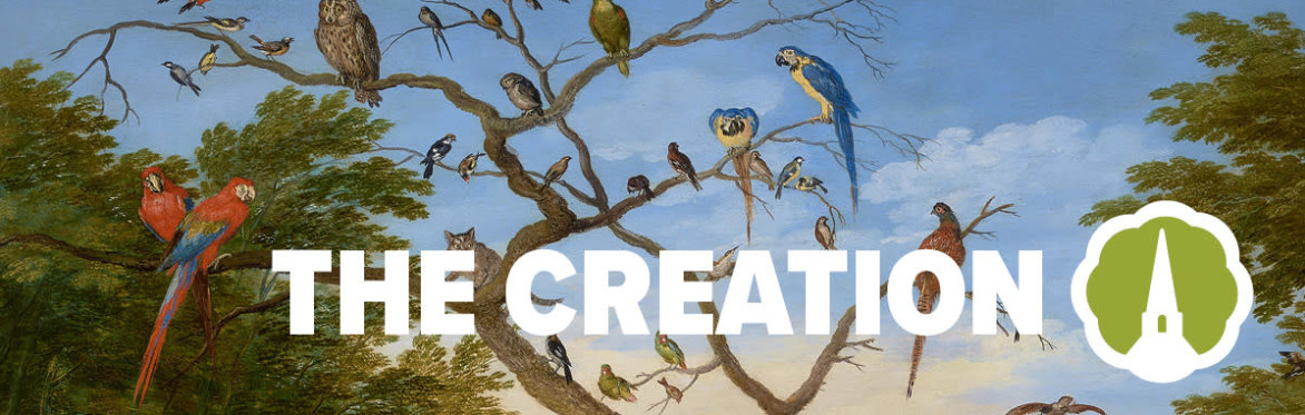 Haydn The Creation