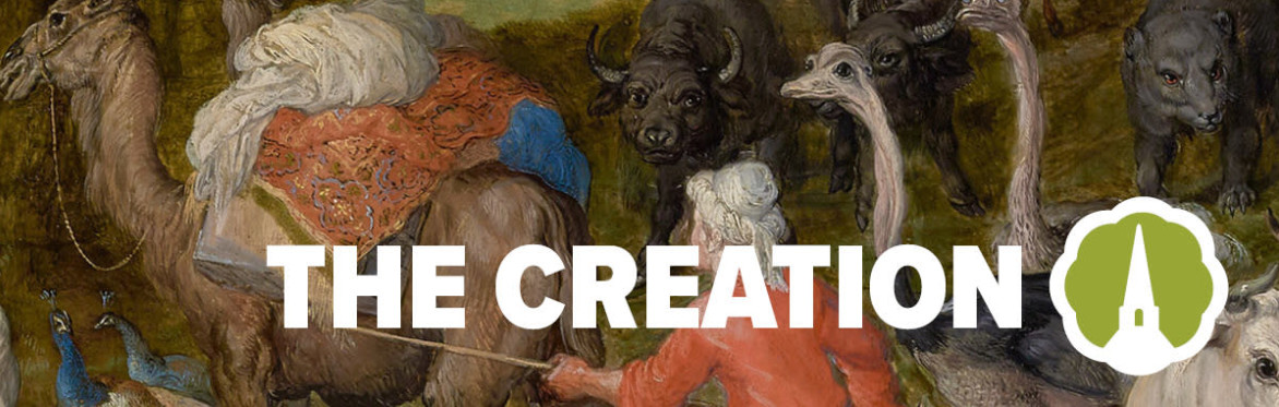 Haydn The Creation