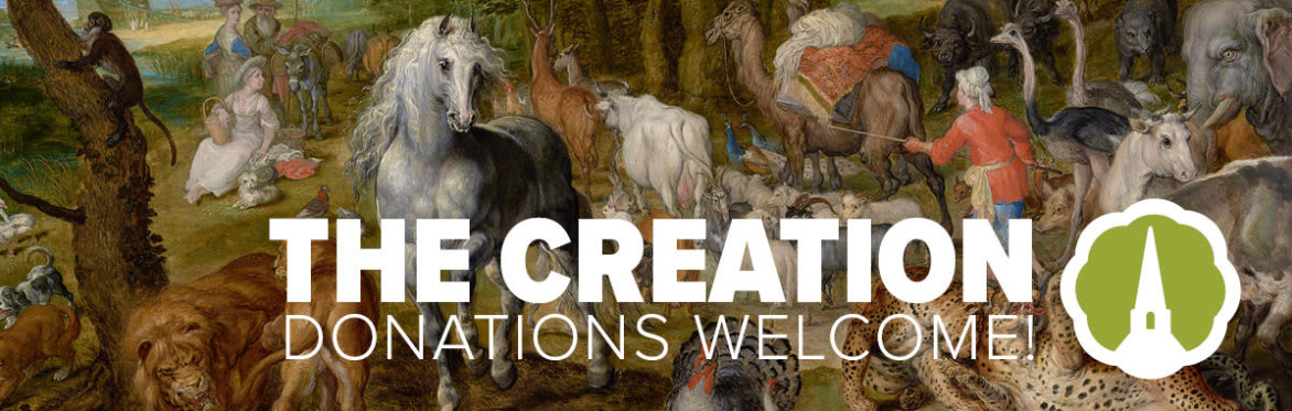 Haydn The Creation