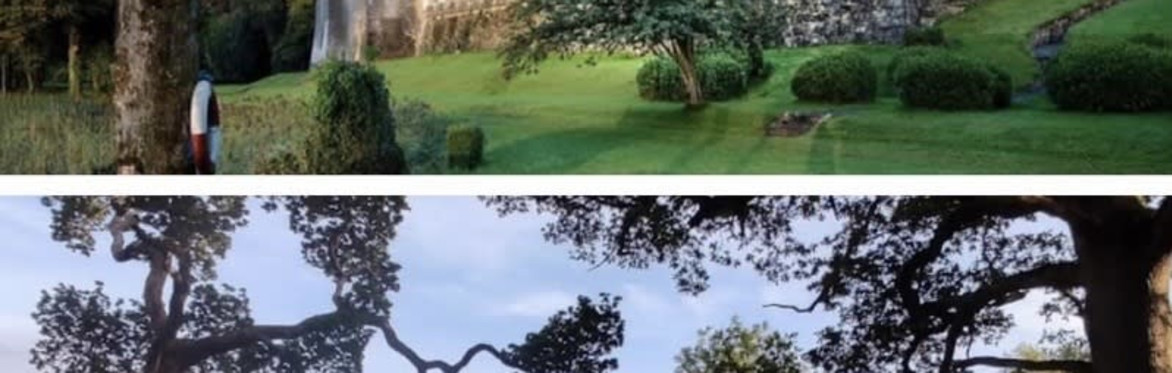 Plein air workshop with Kieran Guckian in Lough Cutra Castle