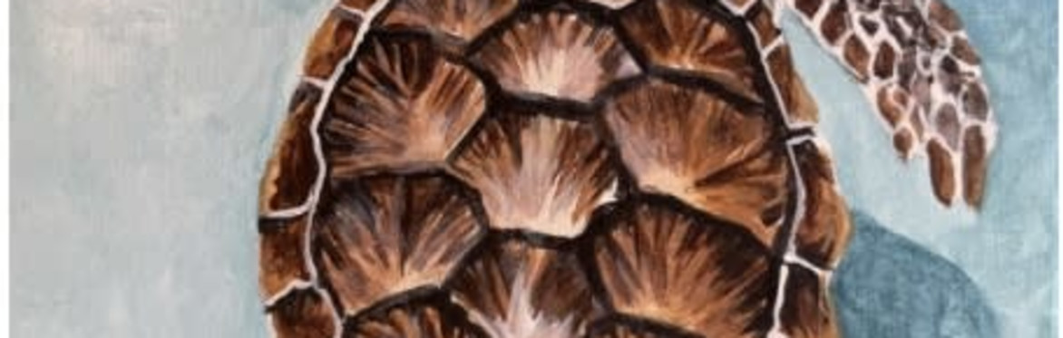 LowCountry Loggerhead