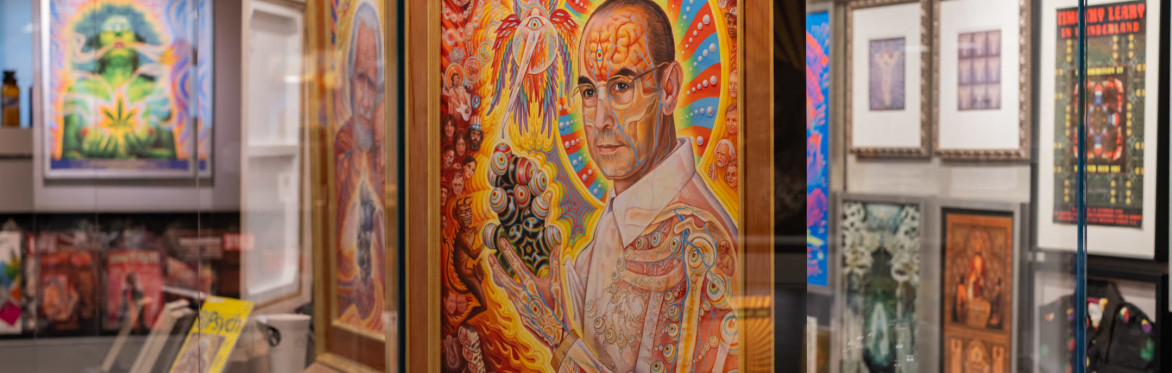 Entheon at CoSM: 2026 Day Pass