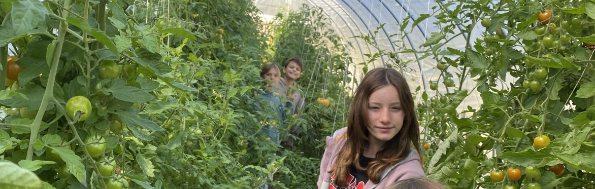 Sensory Farm Tour