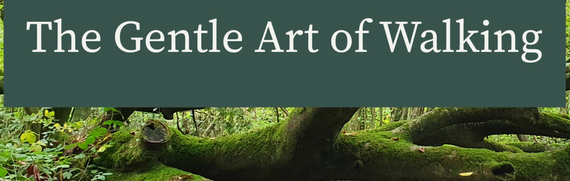 The gentle art of walking