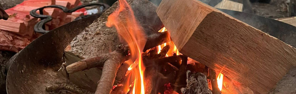 Ossory Forest School August Camp