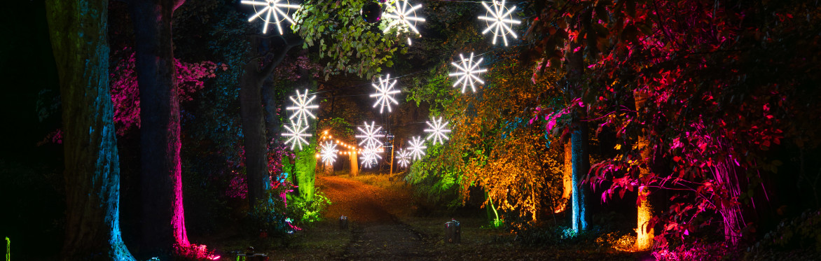 Luminescence – A Winter Light Trail