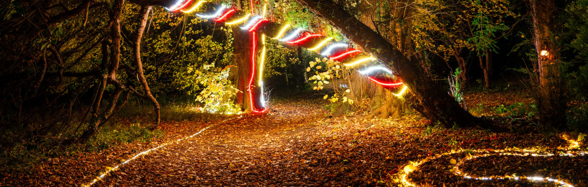 Luminescence – A Winter Light Trail