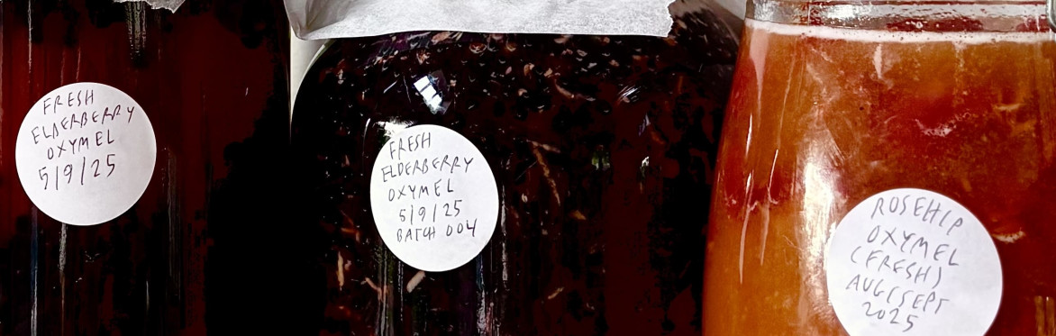 Let's make fire cider! And other witchy kitchen remedies for winter