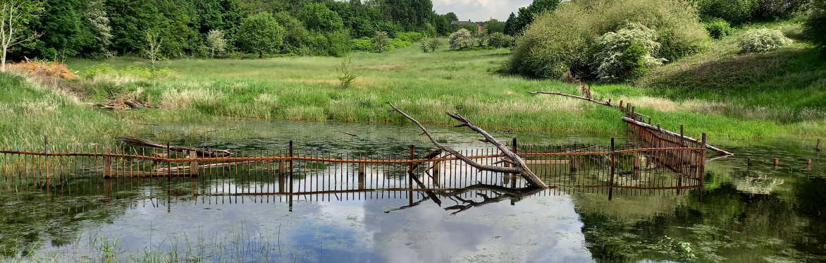 Past to Present - Guided Walk with Northern Roots Heritage Champions