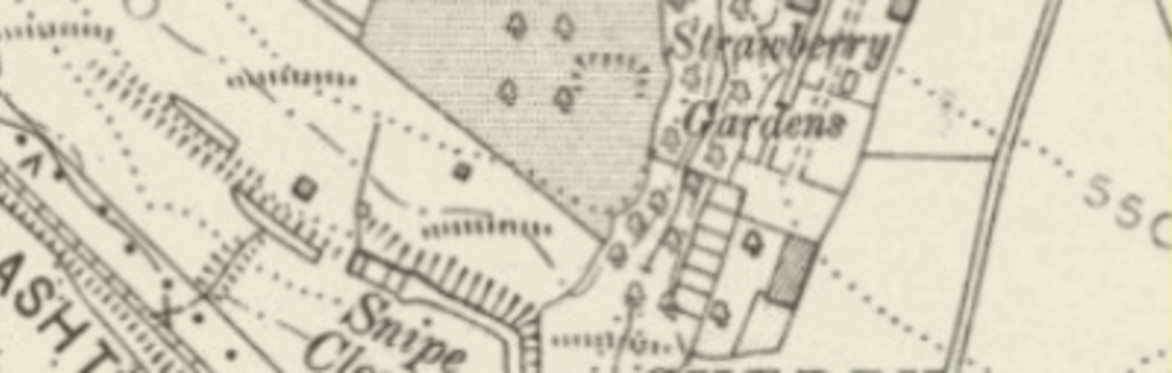 Past to Present - Guided Walk with Northern Roots Heritage Champions