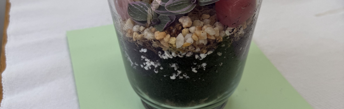 Terrarium Making