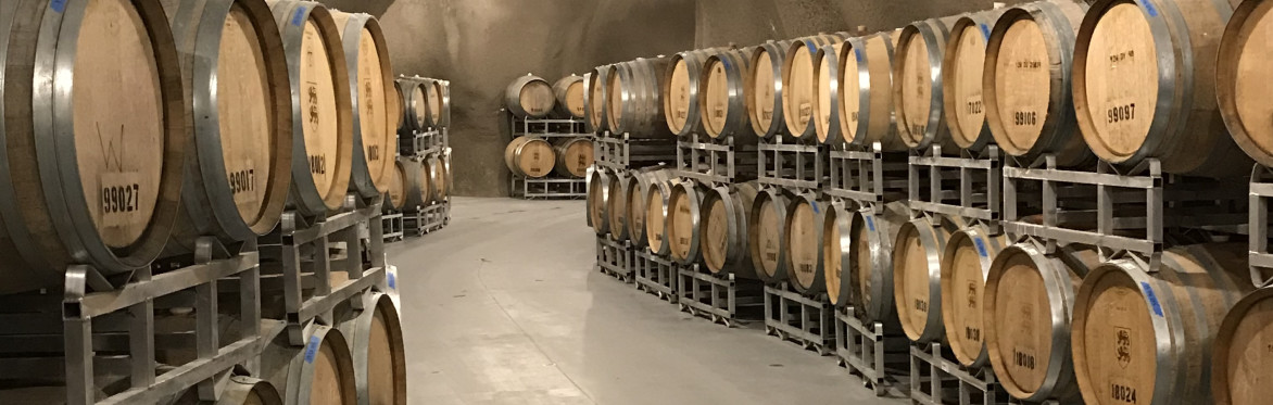 Music & Wine in the Vines