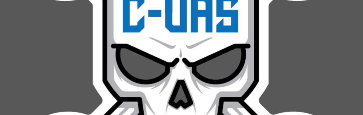 Fundamentals of C-UAS, Law, and Drone Vulnerability & Risk Assessment