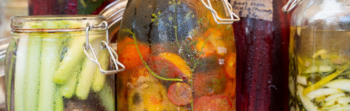 Fermentation Celebration