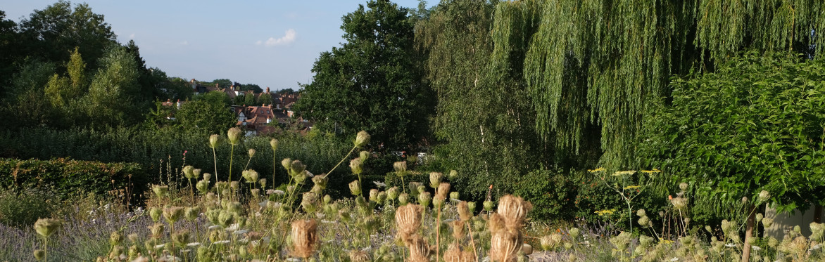 Midweek Meditation: Sound Bath with Emmanuelle Houdin