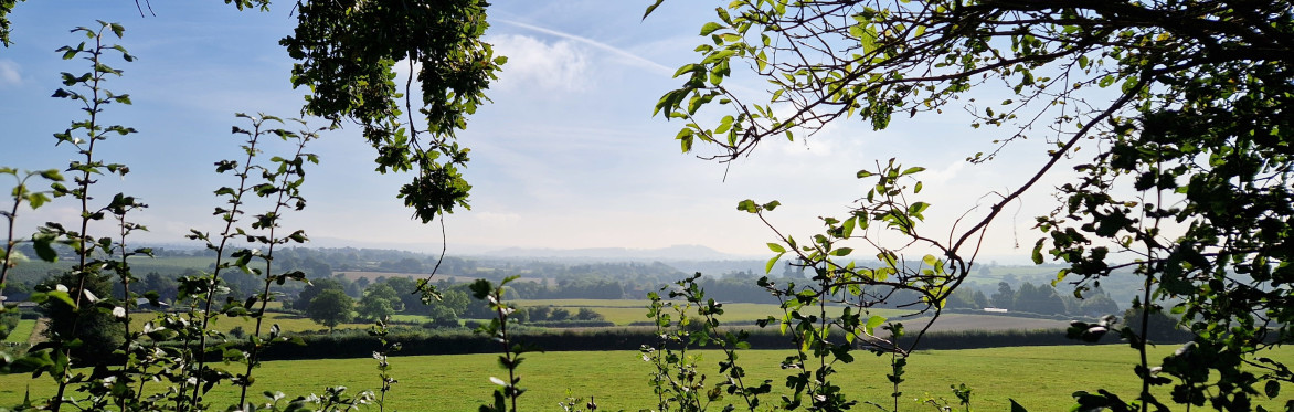 Family Walk: Breinton Orchards and the River Wye