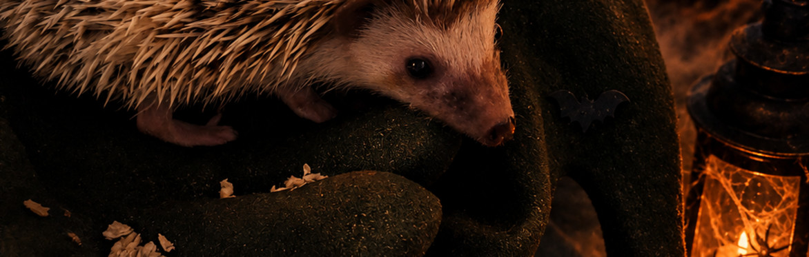 Wild Encounters Scotland - Halloween Farm Experience