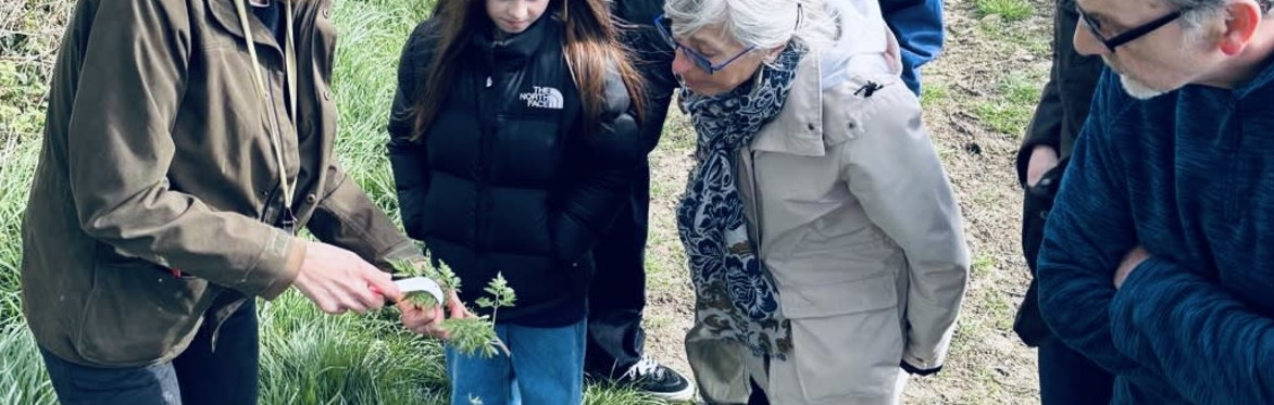 Cotswold foraging walks at Bruern Farms, near Chipping Norton