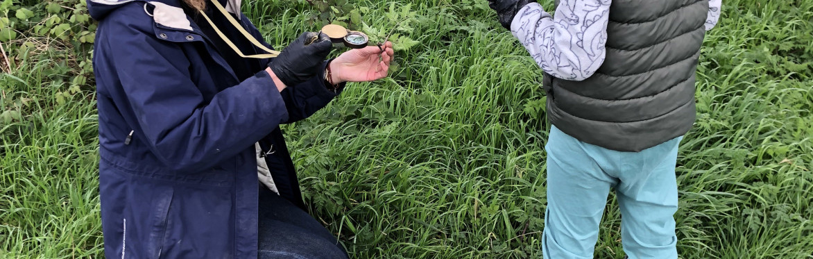 Cotswold foraging walks at Bruern Farms, near Chipping Norton