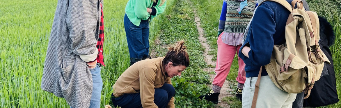 Cotswold foraging walks at Bruern Farms, near Chipping Norton