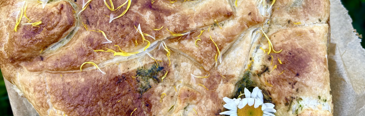 Cotswold foraging walks at Bruern Farms, near Chipping Norton