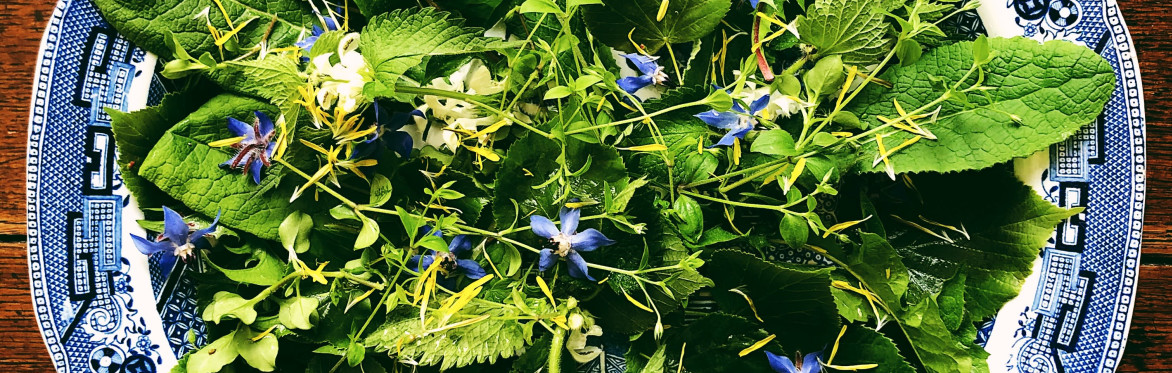 Cotswold foraging walks at Bruern Farms, near Chipping Norton
