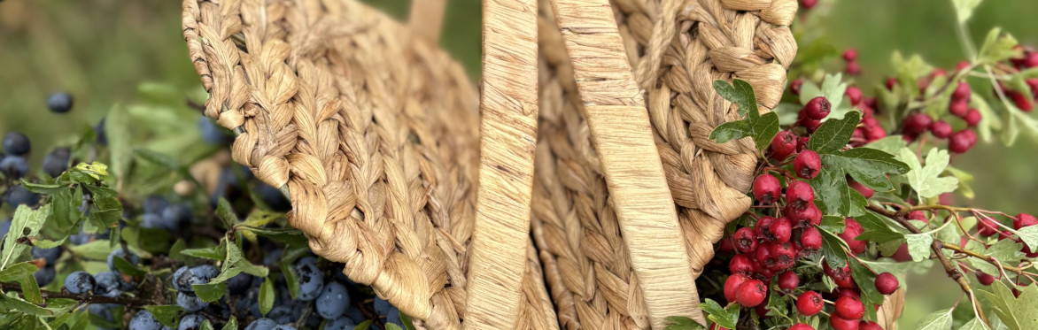 Cotswold foraging walks at Bruern Farms, near Chipping Norton