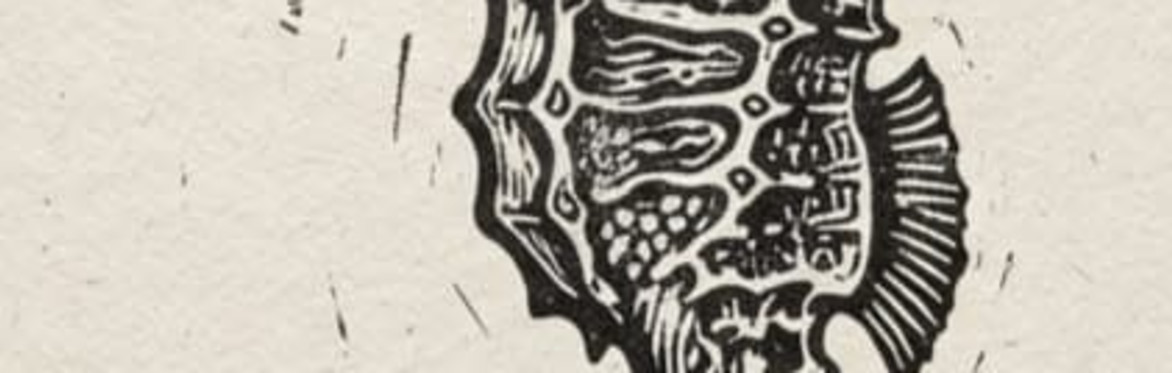 Pinot & Print
