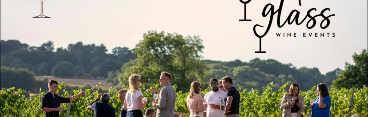 A Solo‑Friendly Vineyard Adventure