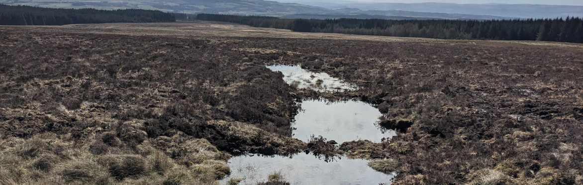 Knoxfauld; Heathy peat, farm and future