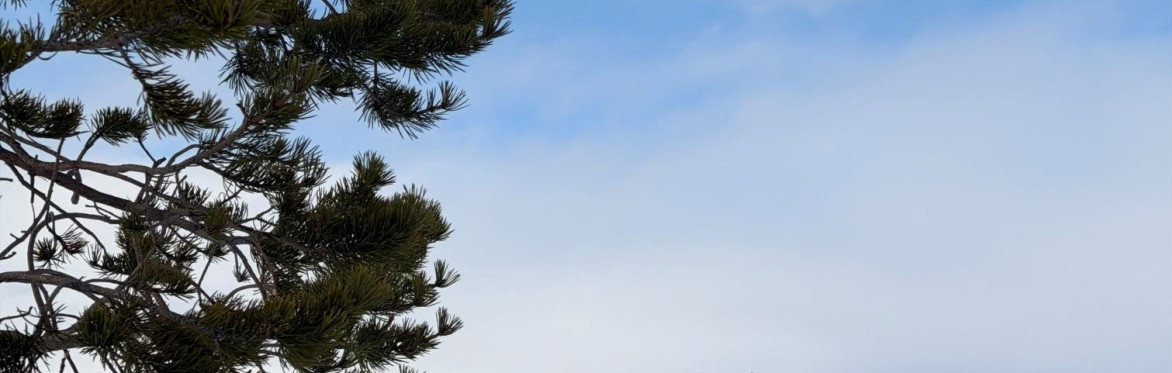 MY ADVENTURE - Norway Winter Leaders Retreat