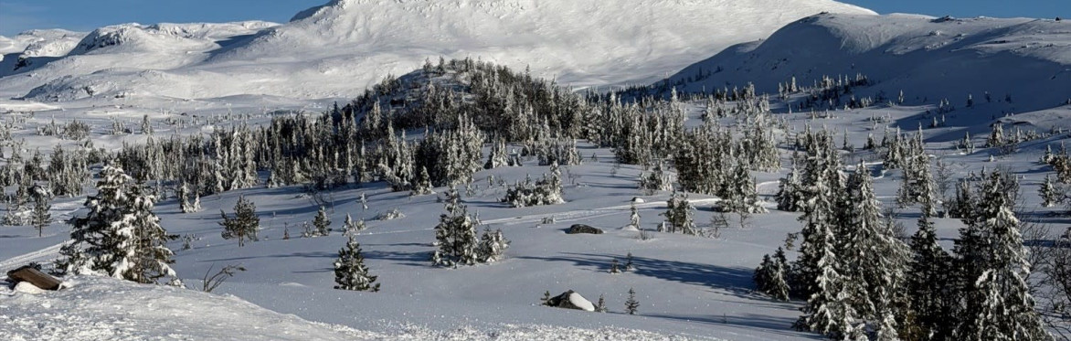 MY ADVENTURE - Norway Winter Leaders Retreat