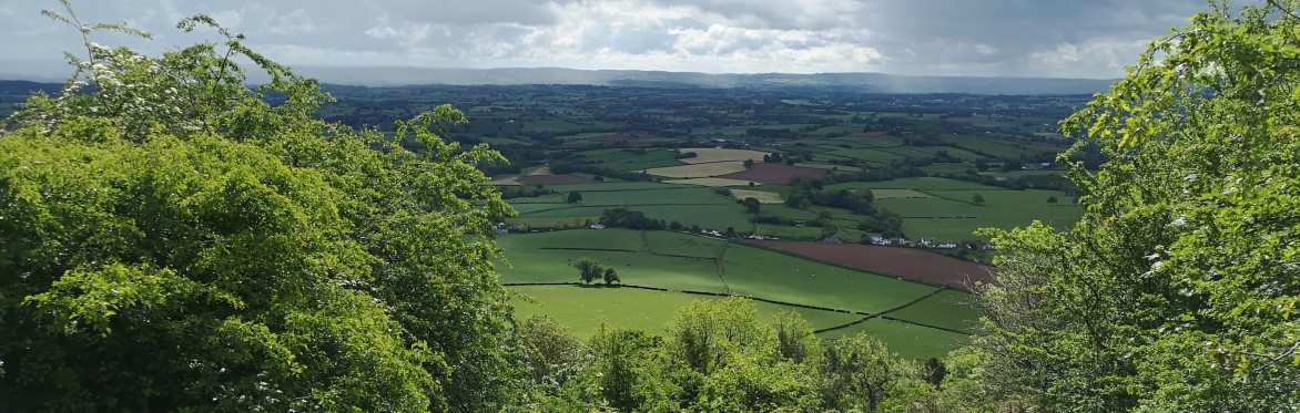 Family Walk: A mountain adventure on the Skirrid