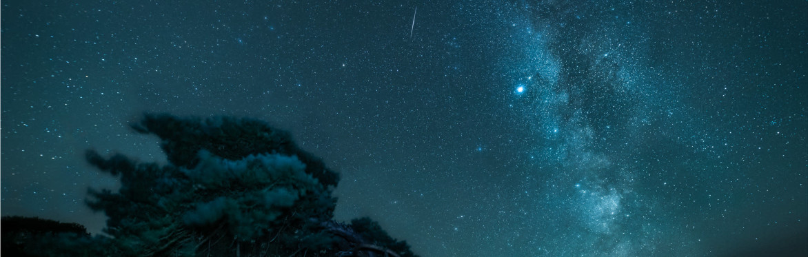 Hear and Fish head nebula over Exmoor