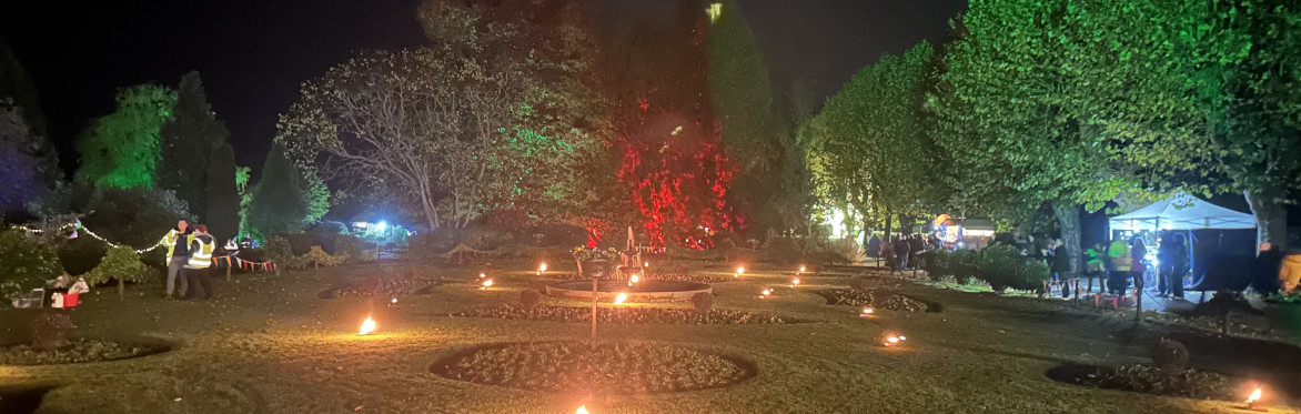 Wellington Garden of Light