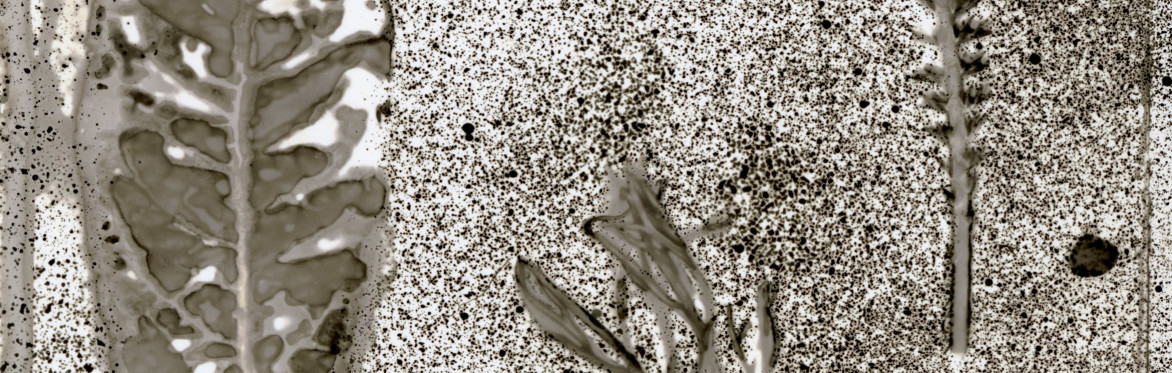 Chemigram image