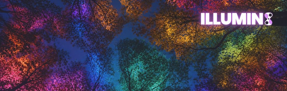 illumin8