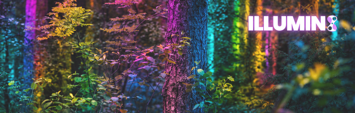 illumin8