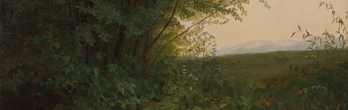 LOOKING OUTSIDE: A One-Hour Slow Looking Retreat
