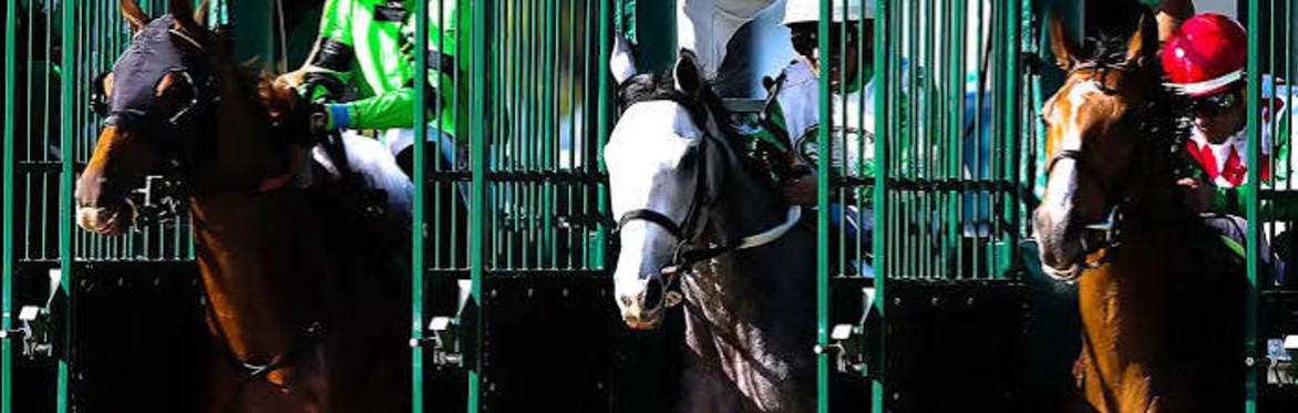 Horse Racing at Tampa Bay Downs - Chef prepared buffet - Round Trip Transportation